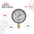 红旗牌仪表YTN-100/YN-100抗震压力表耐震压力表充油压力表真空表 -0.1~2.4MPa