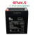 万利达音响电池12V4.5Ah6FM4.5原装Y6电瓶M+9017AB拉杆音箱M+9001 原装LONGWAY12V4.5+普通充电