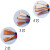 HKNA 国标无氧铜RVV2 3 4 5芯0.5 0.75 1.0 1.5 2.5 电源线护套信号 国标无氧铜 2*0.5 100米