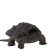 霆特北美小鳄龟杂佛鳄龟苗活物小乌龟宠物活泼外塘凶猛食用幼苗活体 杂佛小鳄2-3厘米 1只单身龟