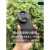 奥古者适用小米14pro系列滤镜壳摄影手机镜头壳外接滤镜保护镜头盖摄影 模拟单反套装(变焦手柄) 小米 14
