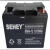 驭舵SEHEY蓄电池NP/NPG/SH-12V7AH17AH24AH38AH40AH65AH100A 12V24AH