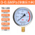 富阳华仪仪表不锈钢耐震压力表yn100油压液压表1.6mpa带油气压表 0-0.6MPA=6公斤 M20*1.5