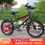 凤凰（Phoenix）儿童自行车6-10岁自行车儿童单车小孩自行车儿童山地车学生自行车 20寸标配黑红丨辐条轮+单速+礼包