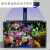 新宠之康X240大功率海水珊瑚LED鱼缸灯XR30G6/G5buue蓝牙WIFI智能遥控日出 G6pro版裸灯