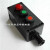 承琉防爆防腐主令控制器ZXF8030-B2D1防爆防腐控制按钮指示灯开关盒 红色 指示灯 DC24V