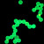 红色/绿色/黄色/蓝色聚苯乙烯荧光微球稀土铕时间分辨荧光微球 20毫升 5%固含量50mg/ml