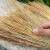普利赛拉 老式高粱扫把芒草扫帚秸秆草手工编制笤帚 白净苗高粱扫把