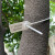 适配定制一次性园林锁扣打号锁标记牌号苗树扎带塑料封条 钢丝封条80CM长100条