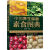 中国养生保健素食图典9787122245724