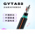 GYTA53-4B1.3防鼠重铠光纤8/12/24/36/48/72/96/144芯直地埋光缆 GYTA53-72B1.3