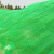 伏旺 盖土网绿化网 建筑工地防尘网绿化遮阳盖沙网盖煤网可定制 绿色3针8x50米