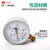 红旗（HONGQi）  机械式压力表 0~1MPa Y100
