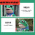 芮帕（RUIPA）网红青蛙人偶服装 儿童小孩款充气蛤蟆玩偶衣服演出服表演服 150-160cm均码 单独2个小青蛙(没有青蛙服)