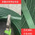 HKNAPET塑钢打包带1608绿色包装带木材砖头打包用塑钢绳捆扎带1910带 普通款1608%23 重20公斤 长约1300米