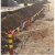 施工道路旗彩旗工地安全警示警戒线隔离带彩色三角小红旗围绳 100米 一包
