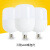 远波 led塑料球泡灯E27节能灯泡 10W 三防风暴款（恒流带包装） 10个起购 GY