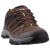 北面（The North Face）北面男登山鞋运动鞋E.V.A.防水春夏防滑涉水徒步鞋 Brown 7.5 40 7.5 40