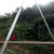 立杆机抱杆拔杆 水泥电杆人字型 三角形 独角铝合金加强型8-15米 12米杆三角形(100*5mm)