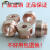 定制点焊机电极头 螺母电极M4M5M6M8M10M12陶瓷定位销 螺母凸焊电 M10整套