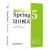 Spring 5 设计模式 web应用开发精通spring5核心原理企业级开发实战派spring m