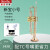 新宝（XinBao）乐器铜管小号乐器黄铜降B调按键考级演奏用TR500P型磷铜白铜 TR600型白铜