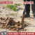 精品洛阳铲头取土器挖土坑打洞打井对锹考古勘探杆洞 3把铲头6米（每节1米）