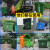 660L垃圾桶物业户外分类移动带盖大号垃圾车专用工业环卫垃圾箱挂 市场料加厚款带盖绿色