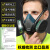 安爽利（ASL）防毒面具KN95防尘口罩全面罩带防雾护目镜610Q Q-E型滤毒盒2个