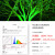 LED七彩投光灯射灯户外防水园林景观灯照树灯室外草坪灯射树灯 600W_七彩自动渐变色_RGB_[50