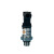 星舵霍尼韦尔/W116MA压力传感器P8000A/B0010G/0016G/0025G定制 P8000A0025G 4~20mA