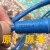 重庆煤科院YB16M-4航空插头线kj90新款井下传感器四孔防爆大头线 老款4孔线 1.5m