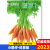 小聪仔科普版杂志2023年幼儿园科普益智动植物自然幼教期刊 2023年3月（草蛉）