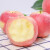 烟台苹果（YANTAI APPLE）烟台红富士苹果 时令生鲜 新鲜水果 节日精选礼盒 精选3斤一级中大果（75-80mm）