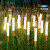 福卓源景观灯芦苇灯LED灯防水室外草地灯庭院花园 12V-100W-防水变压器( 可泡水)