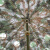 金树叶 野营迷彩遮阳伞 3.2m圆形岗亭遮阳遮雨带水桶底座 丛林色A