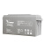 VISENCH蓄电池 UPS电源 铅酸免维护蓄电池6FM65 65AH 12V EPS 直流屏专用