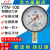 红旗牌仪表YTN-100/YN-100抗震压力表耐震压力表充油压力表真空表 -0.1~2.4MPa