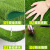 草坪地毯垫子幼儿园绿色假人造塑料装饰绿植户外围挡人工草皮仿真 2.0cm春草围挡