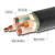 定制VV电力电缆 铜芯工程电缆线 国标足米低压铠装电力电缆 黑色*VV-4*50+1*25