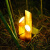 博雷奇太阳能仿真竹子灯发光竹筒灯户外防水草坪灯景观园林装饰灯 三个一组竹子灯 250mm*500mm