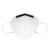 霍尼韦尔口罩KN95 防雾霾防工业粉尘飞沫飘絮折叠式 H910Plus 耳带式 10只装