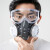 山头林村适用于KN95防尘口罩防毒防工业粉尘打磨灰粉面具全面罩水泥厂全脸 2个滤毒盒+2个透明盖
