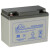 LEOCH理士电池 DJM1250 12V50AH（10hr）十小时率铅酸免维护 直流屏EPS应急电源 UPS不间断电源专用 蓄能电池