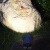 灯典（DENG DIAN）户外LED射树灯庭院花园防水照树灯园林景观投光灯公园绿化射灯G-013554 15w 3000K IP65