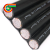RVVP61芯0.5平方60+1国标铜网屏蔽隔离多芯电缆线现货 黑色 100m x 61芯 x 0.5平方毫米