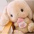 Disney毛绒玩具长耳朵垂耳兔粉色兔子布娃娃超大公仔玩偶毛绒玩具抱枕网 白色圣诞款 65厘米大号