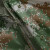 者也（ZYE）反光雨衣套装分体式 雨衣雨裤防水雨衣男女高速路政道路公路巡逻 007式草绿色/XL码