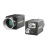 海康40万像素视觉工业网口相机MV-CS004-11GM/GC/UM/UC 1/2. MVCS00410UM USB黑白