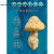 咔芙滋青海特产祁连山野生黄蘑菇干货炖汤钉子菇煲汤香菇蘑菇 钉子菇（0.5cm-1.5cm) 500g